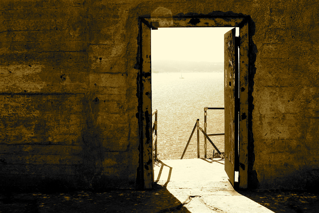 How I Learned To Stop Worrying and Love the Blog