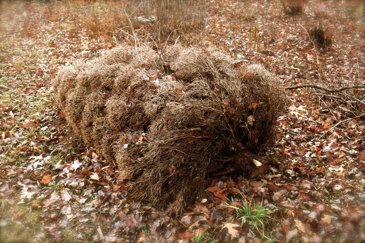 My First Business Venture