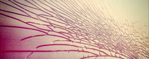 30 Days Without Television: What I Learned