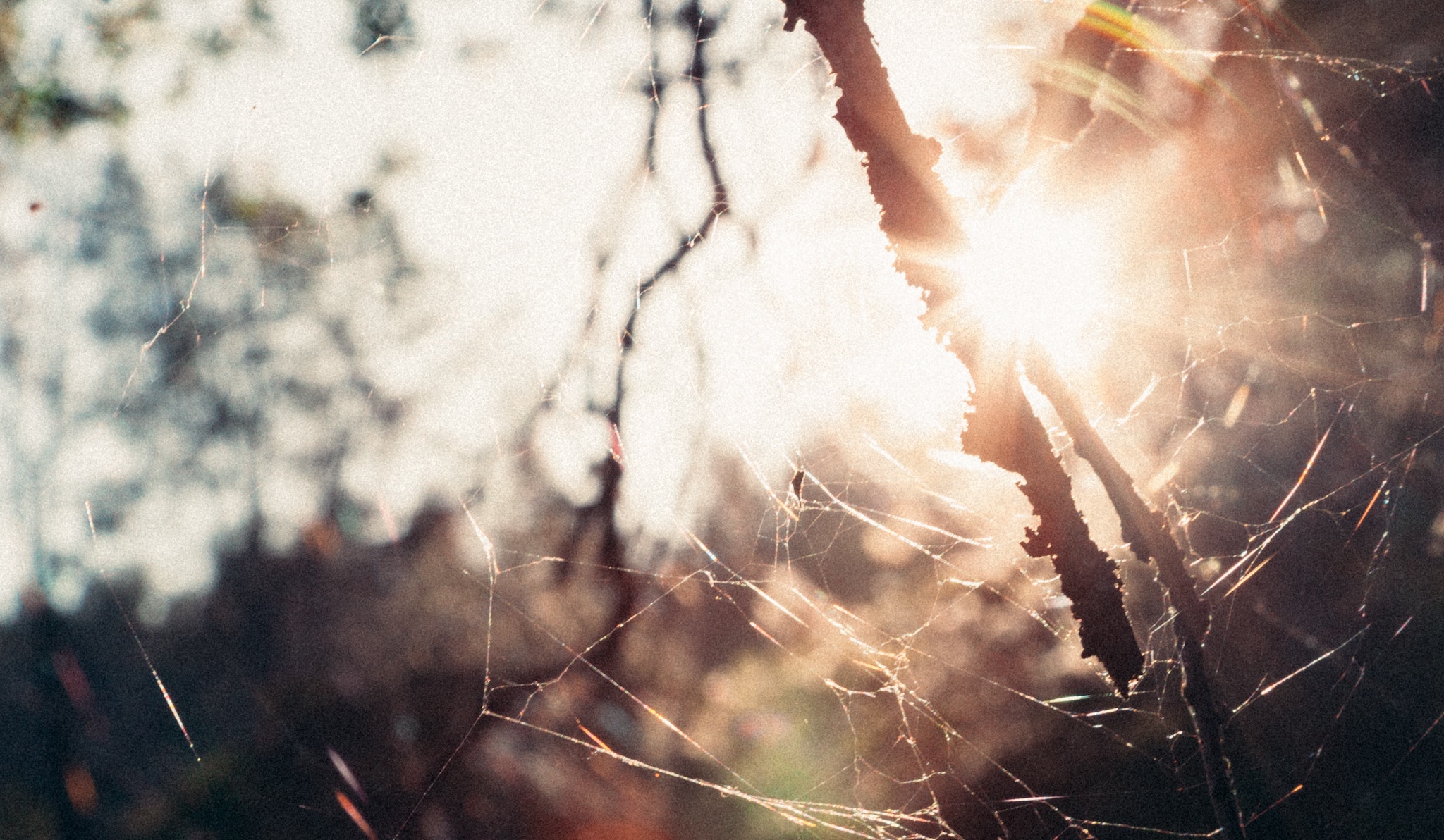 December Challenge: Make Something Every Day