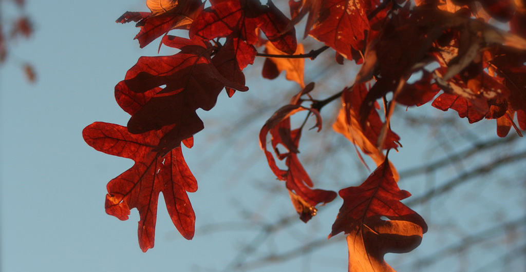 Farewell, Pennsylvania!