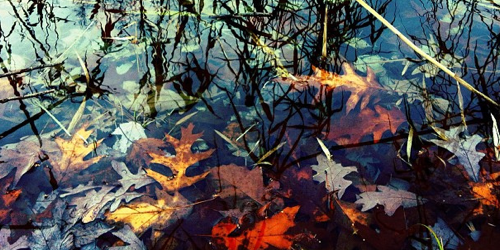 Looking Back on a Year of 30 Day Challenges