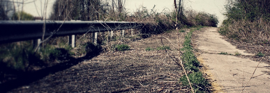 10 Signs of a Jesus Follower