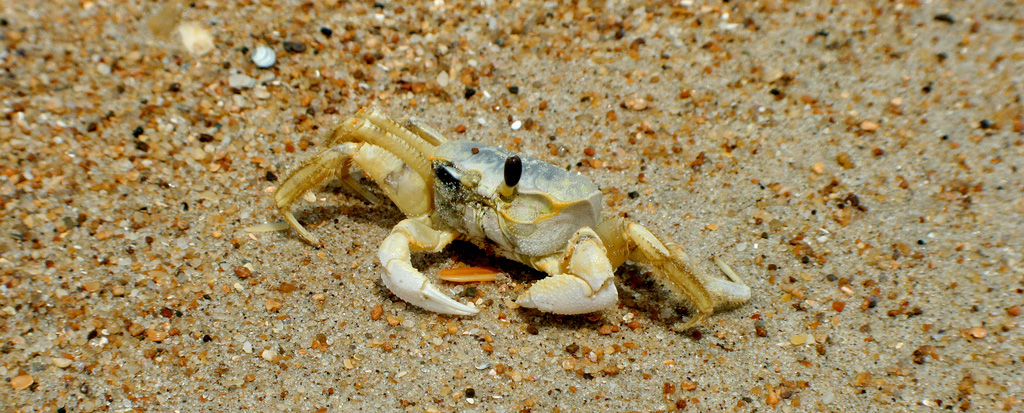 My 10 Most Useful Shell Commands